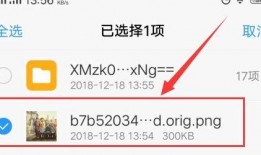 焦点时讯爆料视频下载免费,免费下载热门视频，揭秘下载利器！